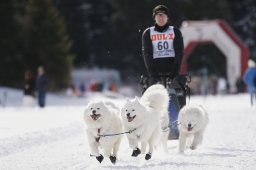 Lenzerheide 2013